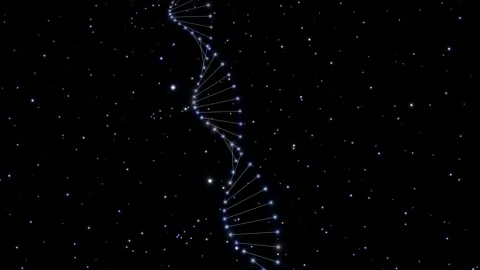 Artistic dna chain space looping motion on black background Stock Footage 337231779