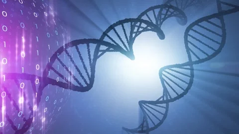Artistic dna chains and binary numbers sphere Stock-Footage 323323007
