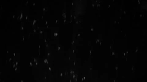 Artistic documentary style photograph capturing energetic sperm cells on black Stock Footage 343952004