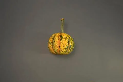An Artistic, Dramatic Closeup of Small Pumpkin Stock Photos