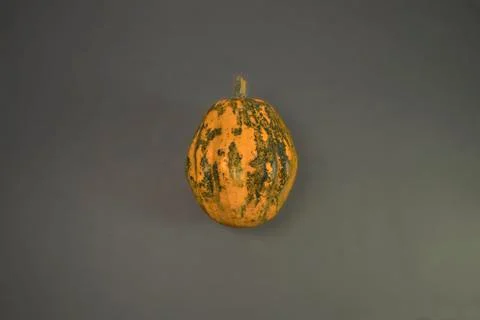 An Artistic, Dramatic Closeup of Small Pumpkin Stock Photos