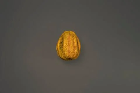 An Artistic, Dramatic Closeup of Small Pumpkin Stock Photos