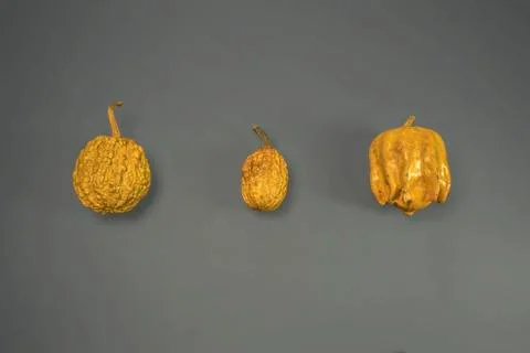 An Artistic, Dramatic Closeup of Small Pumpkins Stock Photos
