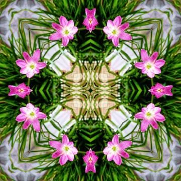 Artistic floral pattern 스톡 일러스트