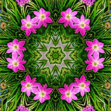 Artistic floral pattern 스톡 일러스트