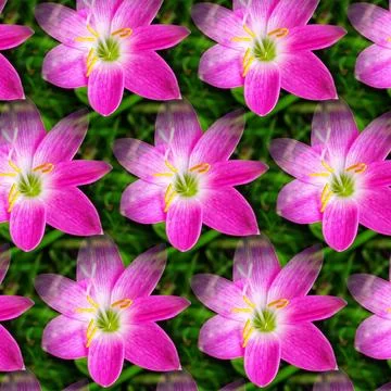 Artistic floral pattern Illustrazione stock