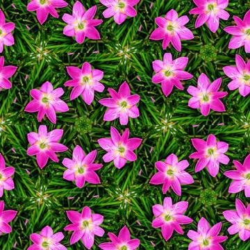 Artistic floral pattern 스톡 일러스트