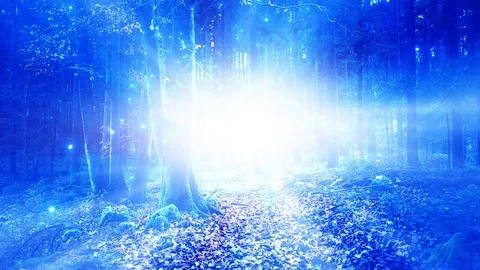 Artistic forest with fireflies and light 動画素材 124986788