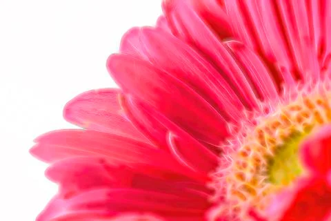 Artistic gerbera flower background Stock Illustration