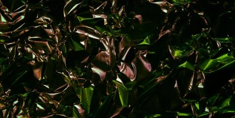 The Artistic Harmony of Color, Pattern, and Texture in Design 스톡 일러스트