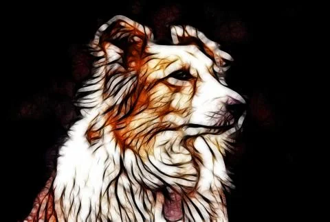Artistic impression border collie Stock Illustration
