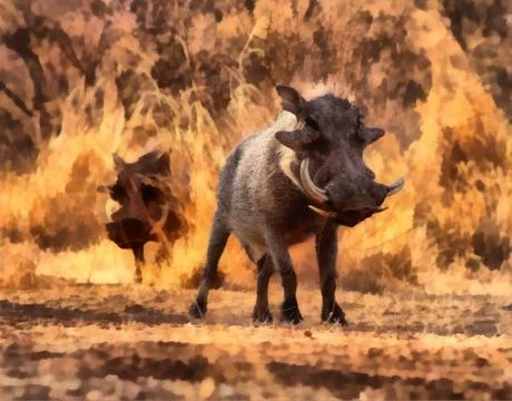 Artistic impression warthogs walking Stock Illustration