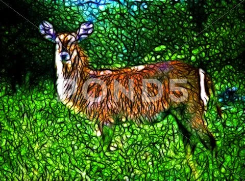 Artistic impression waterbuck Stock Illustration