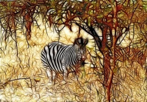 Artistic impression zebra Stock Illustration