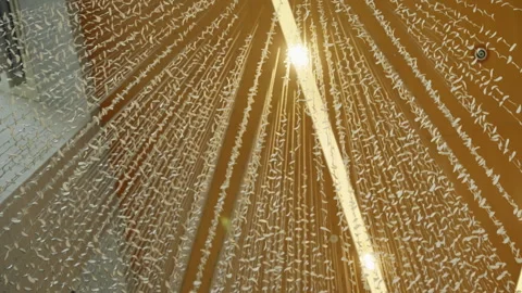 Artistic Installation Featuring Intricate White Paper Elements Suspended in Stock Footage 310243634