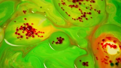 The Artistic Interaction of Green, Red, and Yellow Paints with Oil Bubbles Stock Footage 278001797