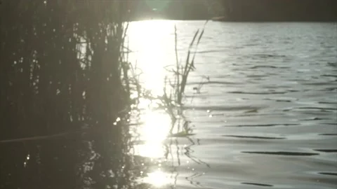 Artistic landscape Stock Footage 142551776