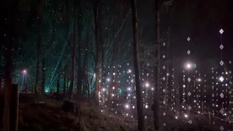Artistic laser light show in trees of Longford Forest Parc in Ireland Video stock 328625419