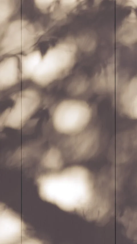 Artistic light and shadow texture on building wall Stock Footage 329440036