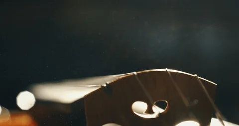 Artistic macro of luthier playing with a bow on a handmade violin or cello. Stock Footage 115078479