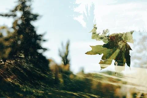 Artistic multiple exposure leaf over natural landscape Stock Photos