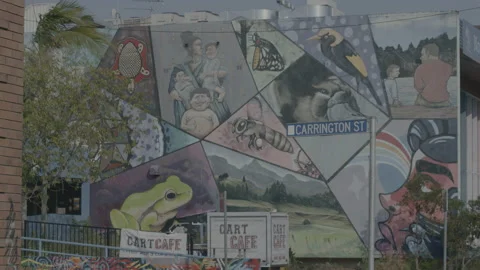 Artistic mural collage building wall outside in Lismore NSW Australia Stock Footage 158971702
