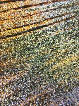 Artistic natural surface textures Photos