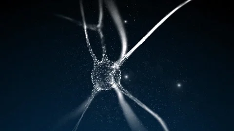 Artistic neuron in the brain animation background Stock Footage 324608906