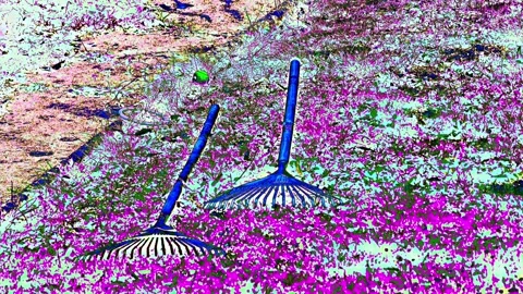 Artistic, psychedelic visual, two rakes lying in a garden on the ground, autumn Stock Footage 253155308