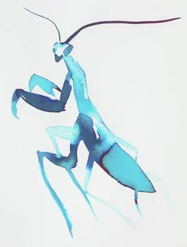 Artistic representation of a vibrant blue mantis using ink on white paper Stock Illustration