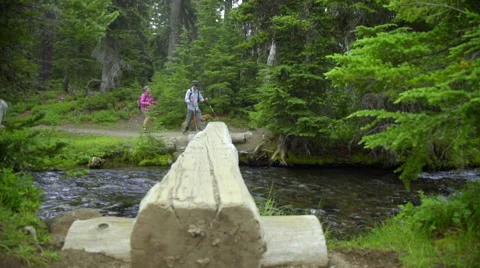 Artistic shot of hikers crossing a log Stock Footage 59084790