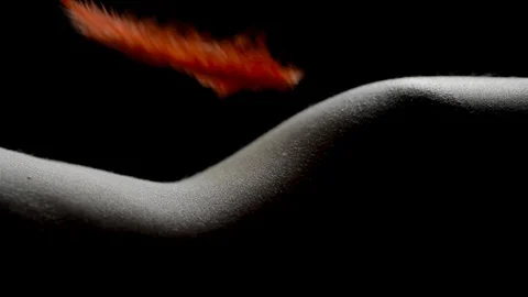 Artistic shot of a red feather falling on a black and white female Stock Footage 102869352