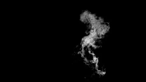 Artistic Smoke Patterns in Motion on a Black Background Stock Footage 341780851