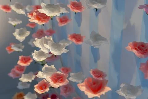 An artistic spatial composition of rose flowers suspended in the air Stock Photos