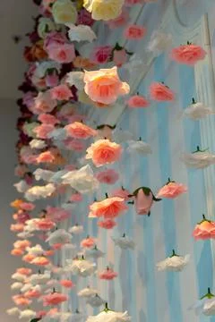An artistic spatial composition of rose flowers suspended in the air Stock Photos
