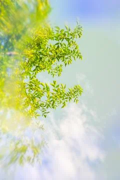Artistic Spring background with special blur effect Stock Illustration