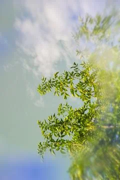 Artistic Spring background with special blur effect Stock Photos