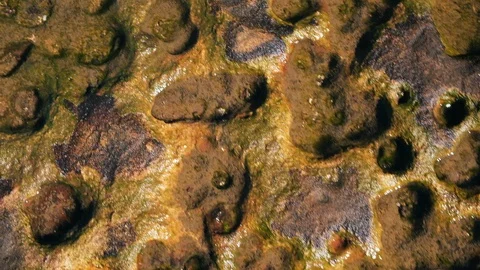 Artistic top down shot of beach potholes filled with water. Stock Footage