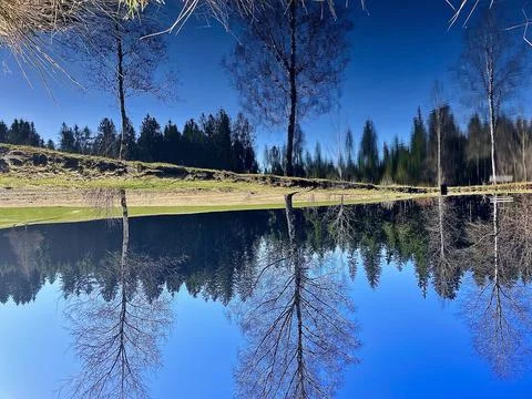 Artistic upside-down lake reflection in Bavarian Forest Stock Photos