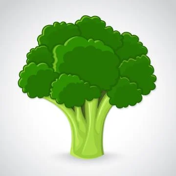 Artistic vector broccoli Stock Illustration