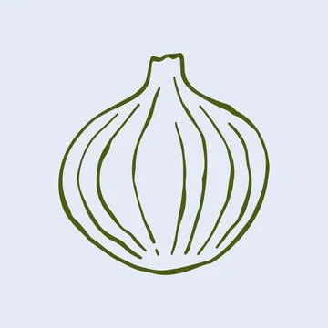 Artistic vector drawing of a whole white or red onion in a minimalist hand Stock Illustration