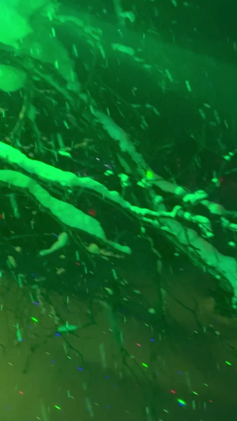 An artistic view of green light illuminating a snowy landscape Stock Footage 314850682