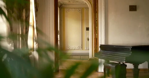 Artistic view through blurred green plant leaves, elegant classical interior 库存影片 337690435