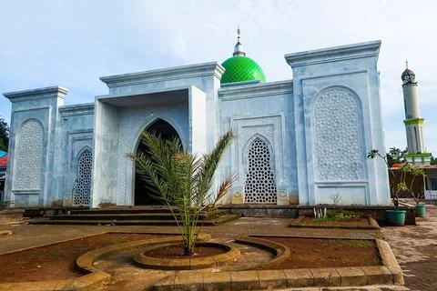 Artistic View of the White Mosque Фото