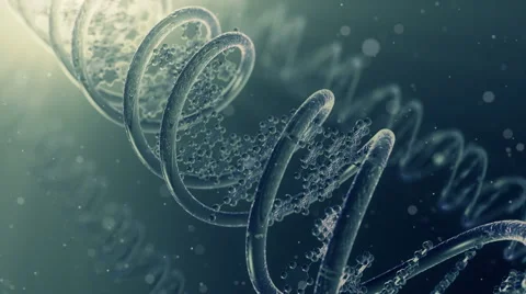 Artistic visualization of DNA strand. Stock Footage 62837927