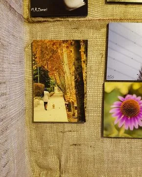 Artistic Wall Stock Photos