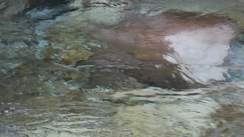 Artistic water flow with blurry rocks Stock Footage 231909005