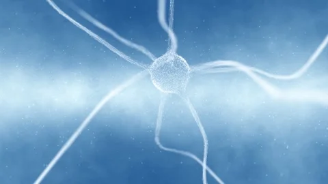 Artistic white blue nerve cell in the brain animation Stock Footage 337572304