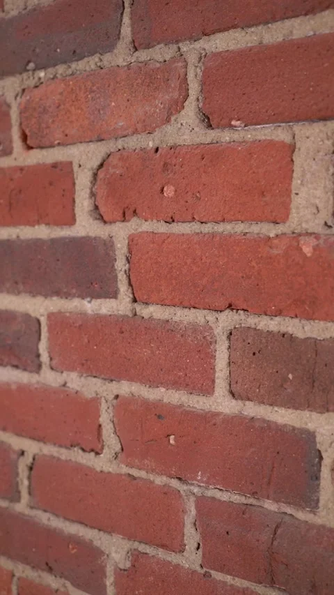 An Artistically Textured Brick Wall Featuring Various Colors and Unique Patterns Stock Footage 295008074