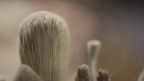 Artists brushes Stock Footage 84790754